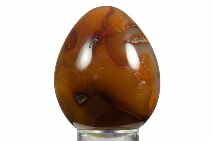 Vibrant Polished Carnelian Agate Egg - Madagascar #331755